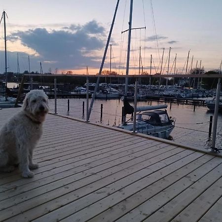 Hausboot Gluecksmomente Mit Dachterrasse In Schleswig Am Ostseefjord Schlei Eksteriør billede