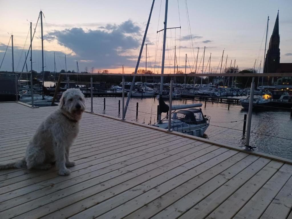 Hausboot Gluecksmomente Mit Dachterrasse In Schleswig Am Ostseefjord Schlei Eksteriør billede